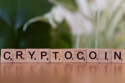Best Crypto Casinos 2024: A Guide to Online Gambling